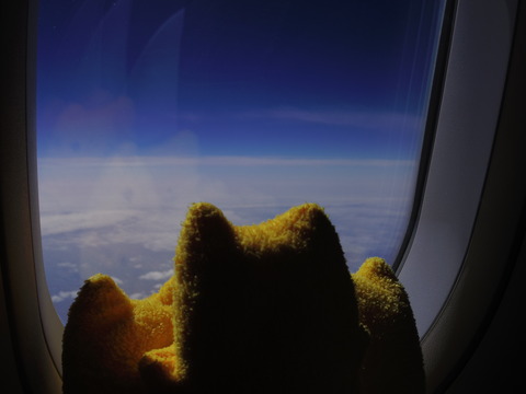 フモフモさん お散歩ブログ 初体験