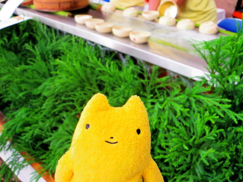 フモフモさん　お散歩ブログ　下鴨神社　世界遺産　みたらし祭