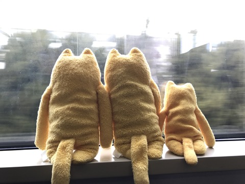 フモフモさん お散歩ブログ 下呂温泉