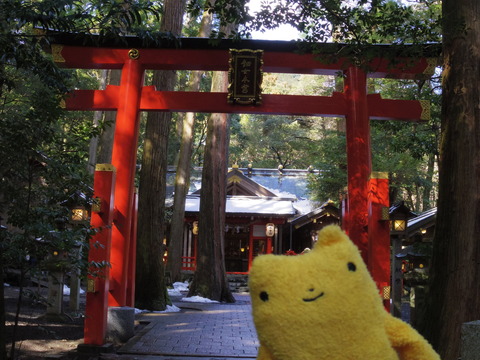 フモフモさん　お散歩ブログ　湯の山温泉