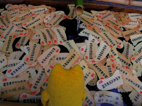 フモフモさん　お散歩ブログ　下鴨神社　世界遺産　みたらし祭