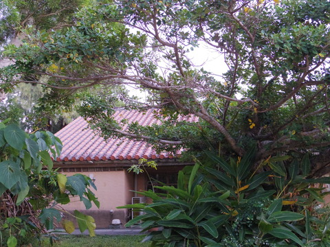 フモフモさん 沖縄ブログ 沖縄 やちむんの里