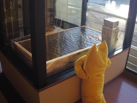 フモフモさん　お散歩ブログ　びわこ緑水亭　温泉