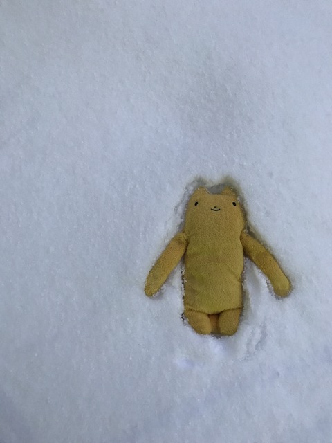 フモフモさん お散歩ブログ 湯の山温泉