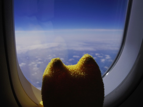 フモフモさん お散歩ブログ 初体験