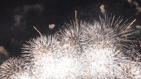 フモフモさん　お散歩ブログ　びわ湖大花火大会　2017