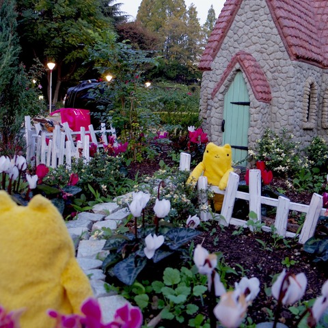 フモフモさん　マイホーム