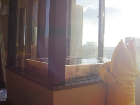 フモフモさん　お散歩ブログ　びわこ緑水亭　温泉