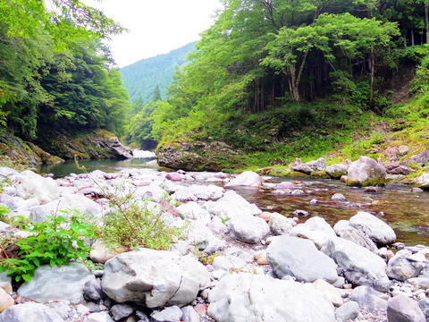フモフモさん お散歩ブログ 奈良県天川村 キャンプ