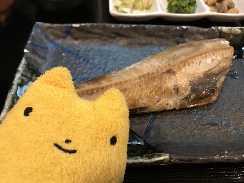 フモフモさん お散歩ブログ ひもの野郎