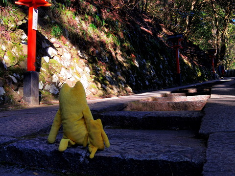 フモフモさん　お散歩ブログ　鞍馬寺