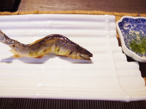 フモフモさん お散歩ブログ びわこ緑水亭 温泉
