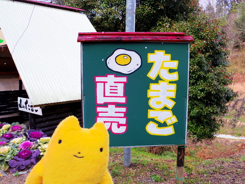 フモフモさん　お散歩ブログ　家族旅行