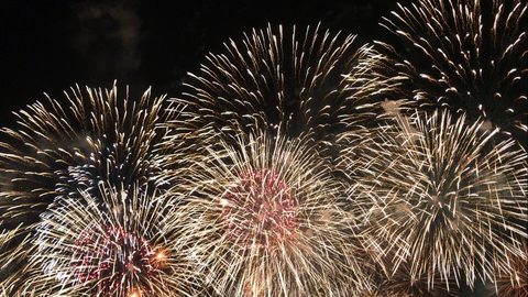 フモフモさん　お散歩ブログ　びわ湖大花火大会　2017