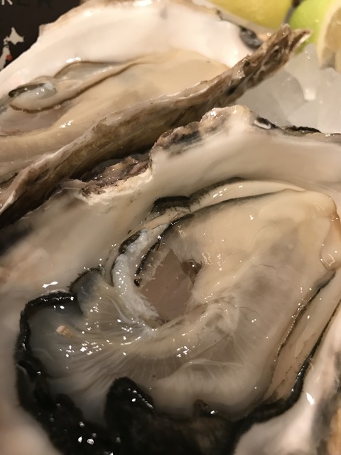 フモフモさん　お散歩ブログ　オイスターバー　牡蠣