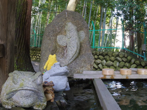 フモフモさん　お散歩ブログ　湯の山温泉
