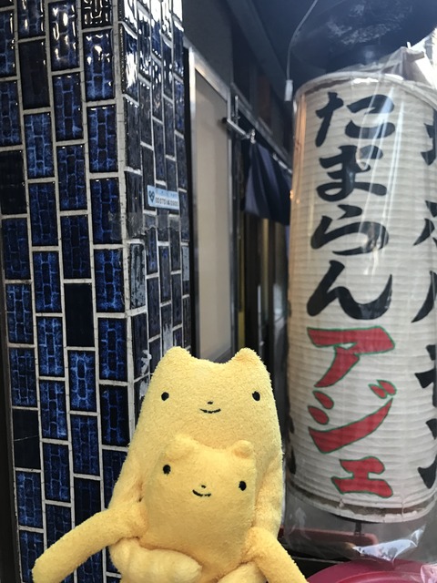 フモフモさん お散歩ブログ 京都 焼肉 アジェ ホルモン