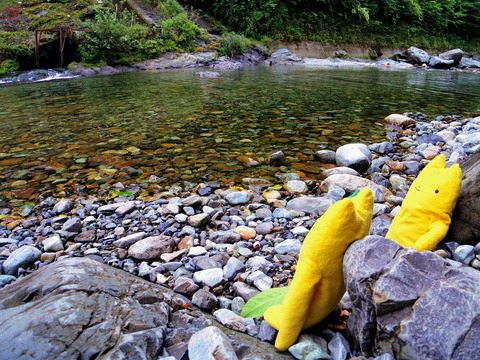 フモフモさん お散歩ブログ 奈良県天川村 キャンプ