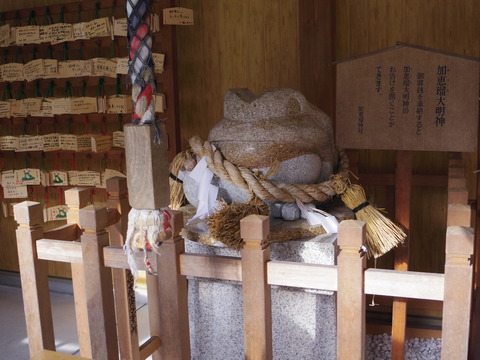 フモフモさん お散歩ブログ 下呂温泉