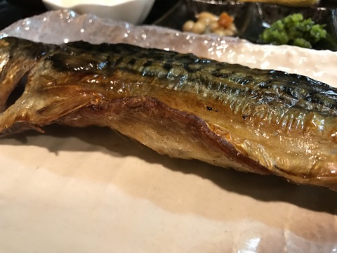 フモフモさん お散歩ブログ ひもの野郎