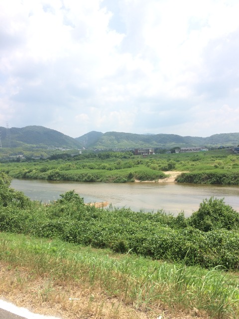 フモフモさん　お散歩ブログ　サイクリング　流れ橋