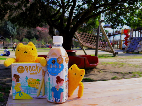 フモフモさん お散歩ブログ 午後の紅茶×ポッキー