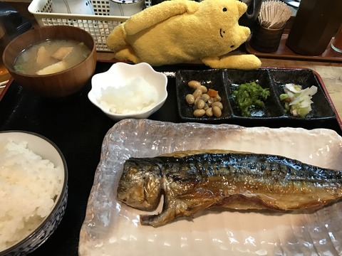 フモフモさん お散歩ブログ ひもの野郎