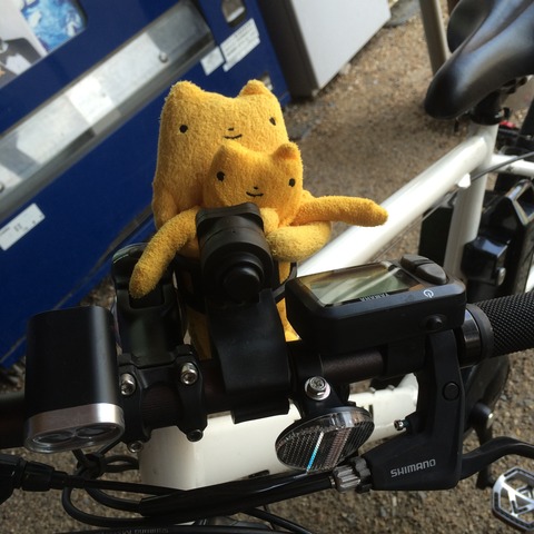 フモフモさん　お散歩ブログ　サイクリング　流れ橋