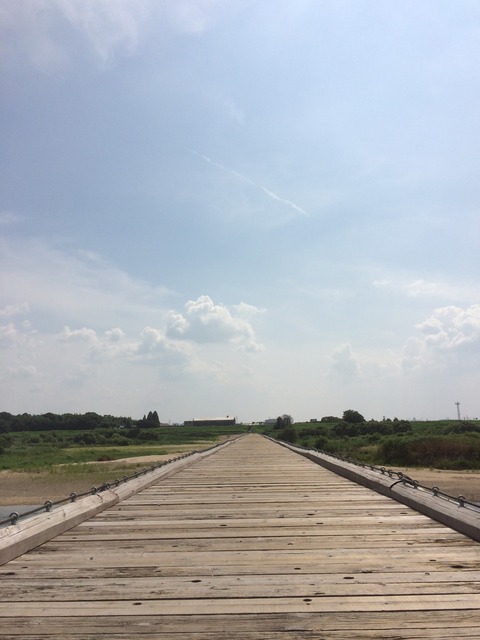 フモフモさん　お散歩ブログ　サイクリング　流れ橋