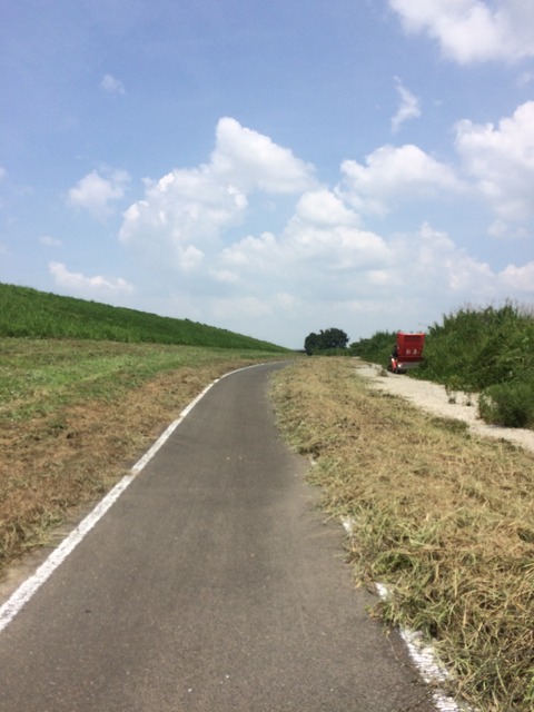 フモフモさん　お散歩ブログ　サイクリング　流れ橋