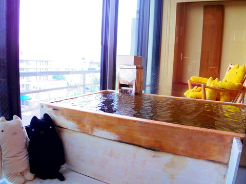 フモフモさん　お散歩ブログ　びわこ緑水亭　温泉