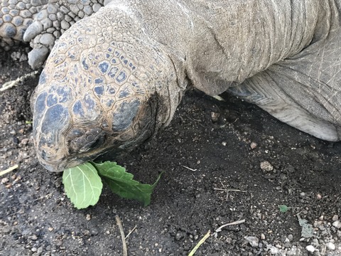 フモフモさん お散歩ブログ 神戸巡り