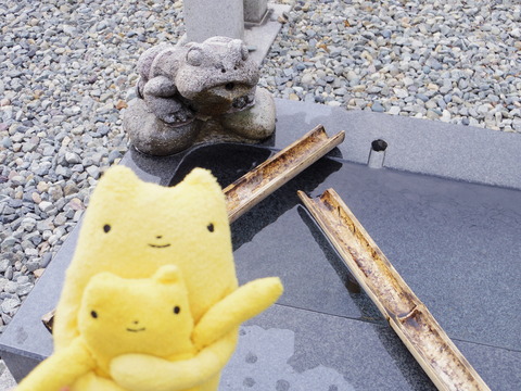 フモフモさん お散歩ブログ 下呂温泉