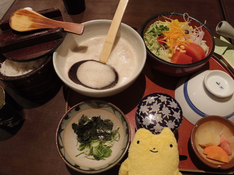 フモフモさん お散歩ブログ 自然薯 茶茶 鈴鹿山麓店