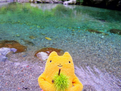 フモフモさん お散歩ブログ 奈良県天川村 キャンプ