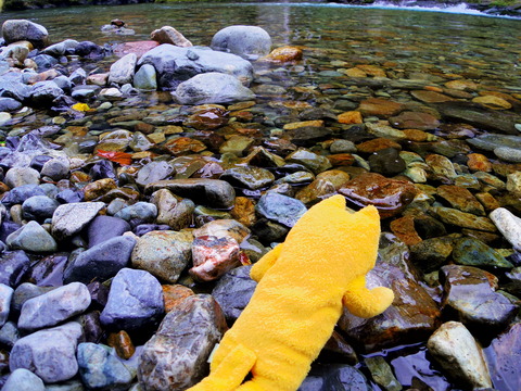 フモフモさん お散歩ブログ 奈良県天川村 キャンプ