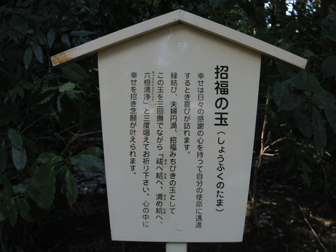 フモフモさん　お散歩ブログ　湯の山温泉