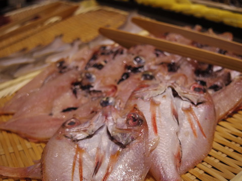 フモフモさん　お散歩ブログ　びわこ緑水亭　温泉