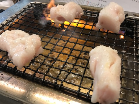 フモフモさん　お散歩ブログ　京都　焼肉　アジェ　ホルモン