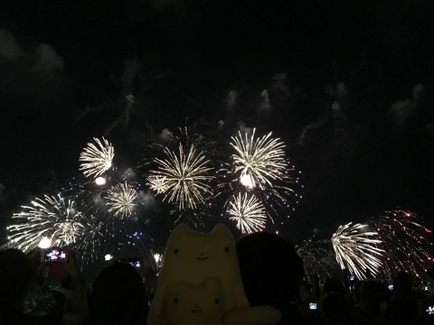 フモフモさん　お散歩ブログ　びわ湖大花火大会　2017