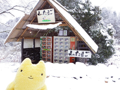 フモフモさん　お散歩ブログ　家族旅行