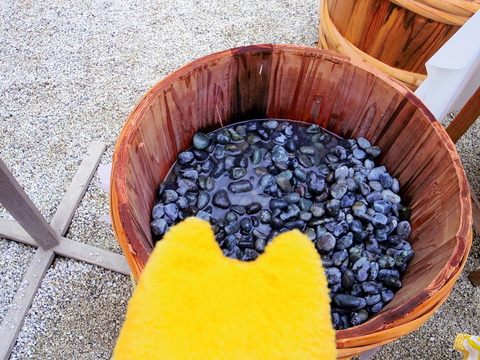 フモフモさん　お散歩ブログ　下鴨神社　世界遺産　みたらし祭
