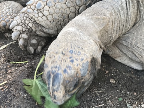 フモフモさん お散歩ブログ 神戸巡り