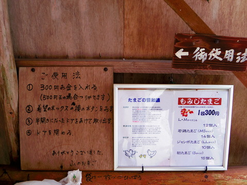 フモフモさん　お散歩ブログ　家族旅行