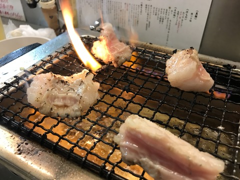 フモフモさん　お散歩ブログ　京都　焼肉　アジェ　ホルモン