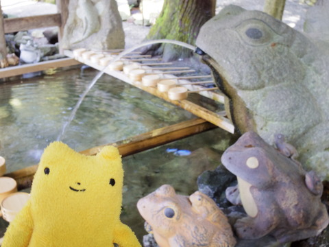 フモフモさん　お散歩ブログ　湯の山温泉