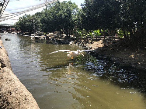 フモフモさん お散歩ブログ 神戸巡り