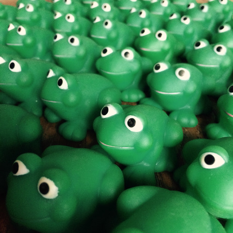 フモフモさん お散歩ブログ ぼくのペット