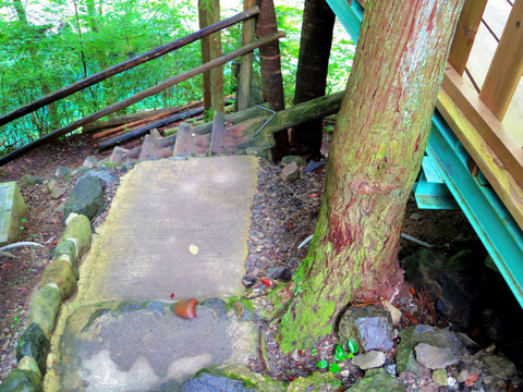フモフモさん お散歩ブログ 奈良県天川村 キャンプ