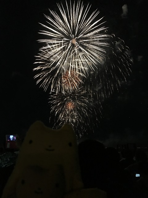 フモフモさん　お散歩ブログ　びわ湖大花火大会　2017